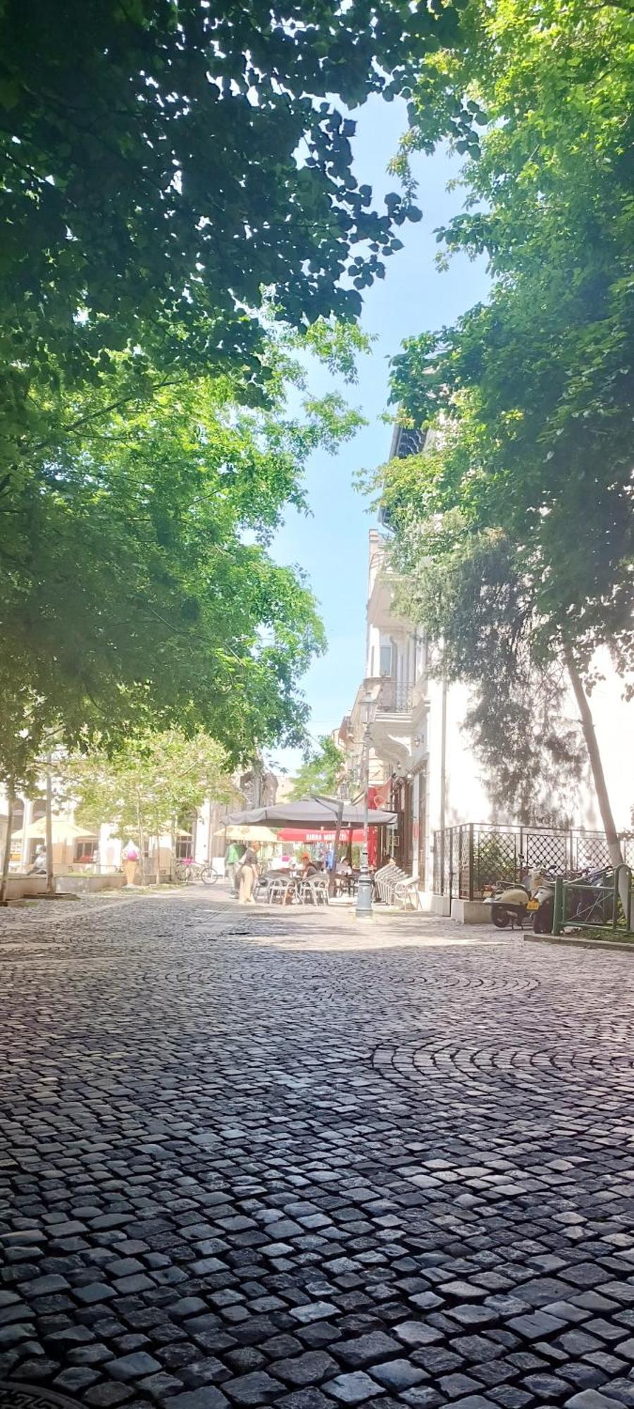 Enchanting Retreat - Historic Old Town - Pet-Friendly Haven - Steps From Unirii Bukarest Kültér fotó